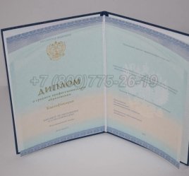 Диплом Колледжа 2023г СпецБланк в Иркутске