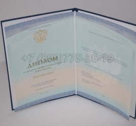 Диплом Колледжа 2021г СпецБланк в Иркутске